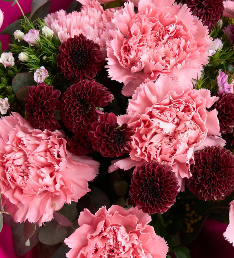 Lila Bukette Pembe Karanfiller ve Bordo Krizantem