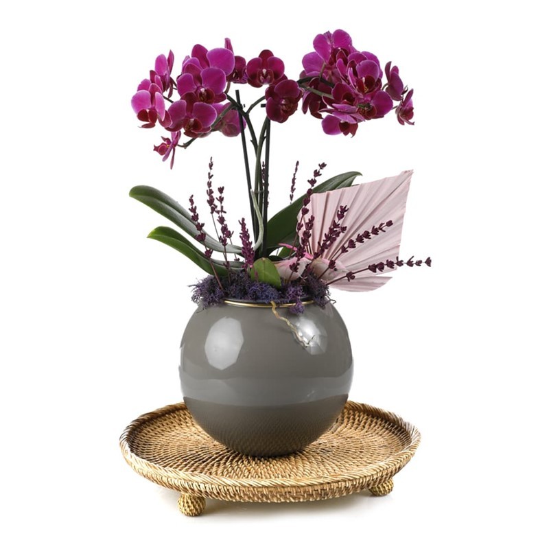 Deluxe Purple Midi Orchid